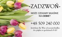 Praca w branży spożywczej! Bez stawki wiekowej!